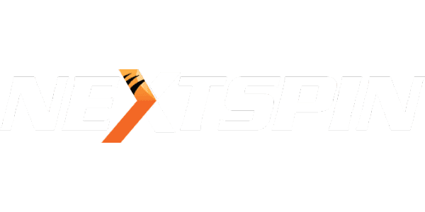 নেটসফট গেমিং